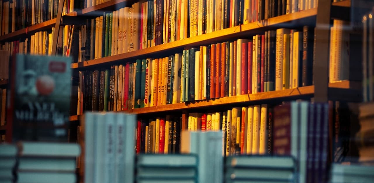 Image by wal_172619 from Pixabay Buchladen mit Bücherregalen